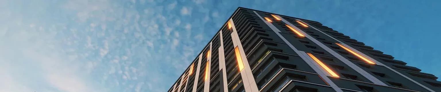 Transform Learning Background