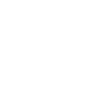 Vision