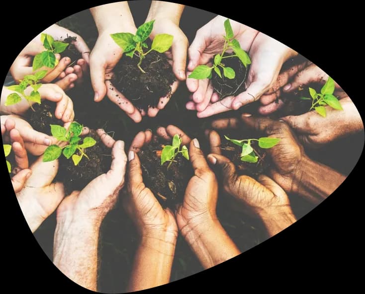 CHC52025 Diploma of Community Services